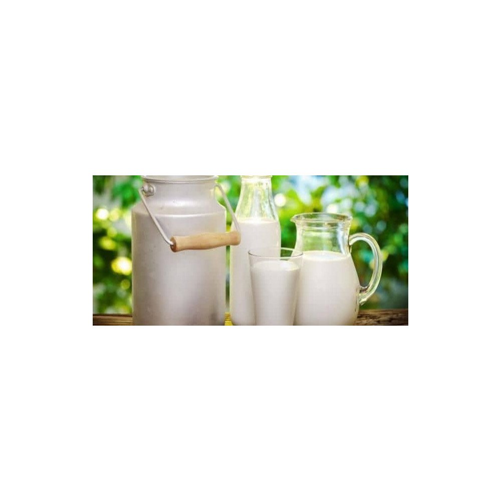 lait