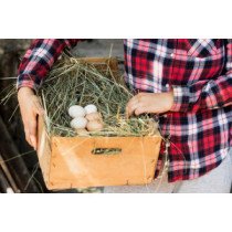 Oeufs