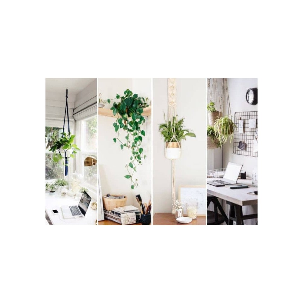 Décoration et Ambiance