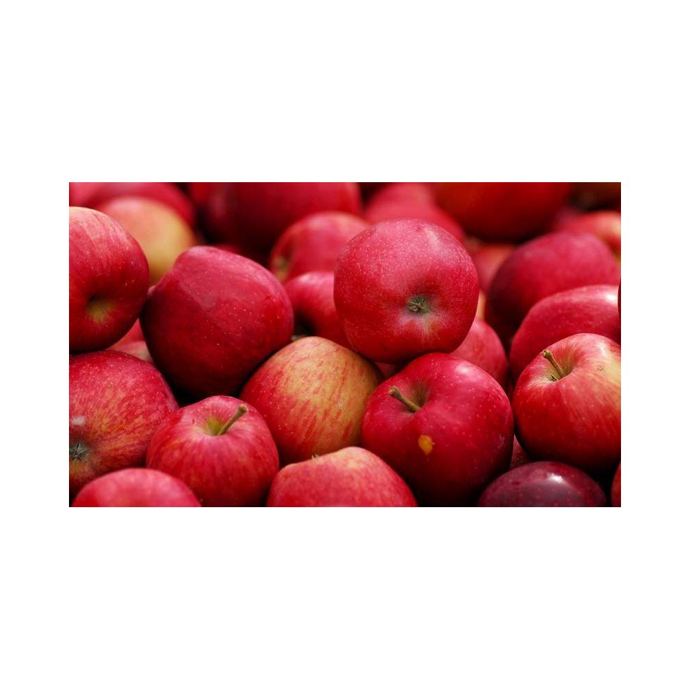 Pommes