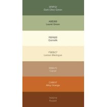 Palette de Couleurs