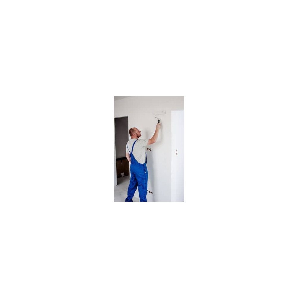 Peinture murale et plafond