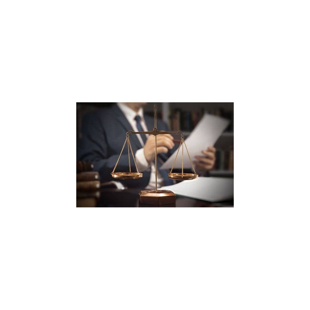 Master en droit