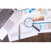 Analyse de la structure du capital